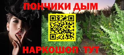 гидропоника Бийск
